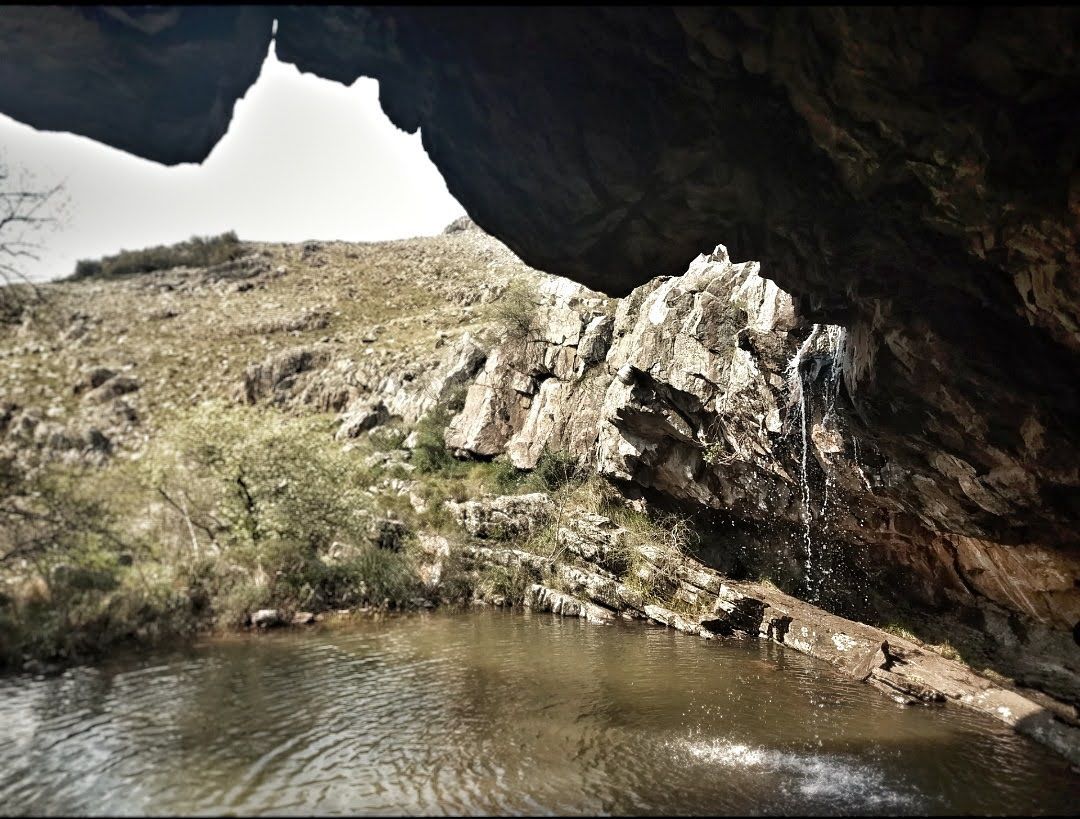 Asesoramiento personalizado