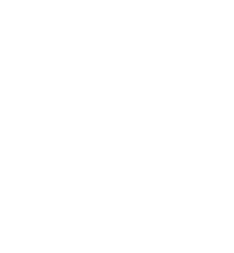 Pinnacle Car Services logo