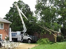 Ron's Truck — Tree Service in Wilmington, DE