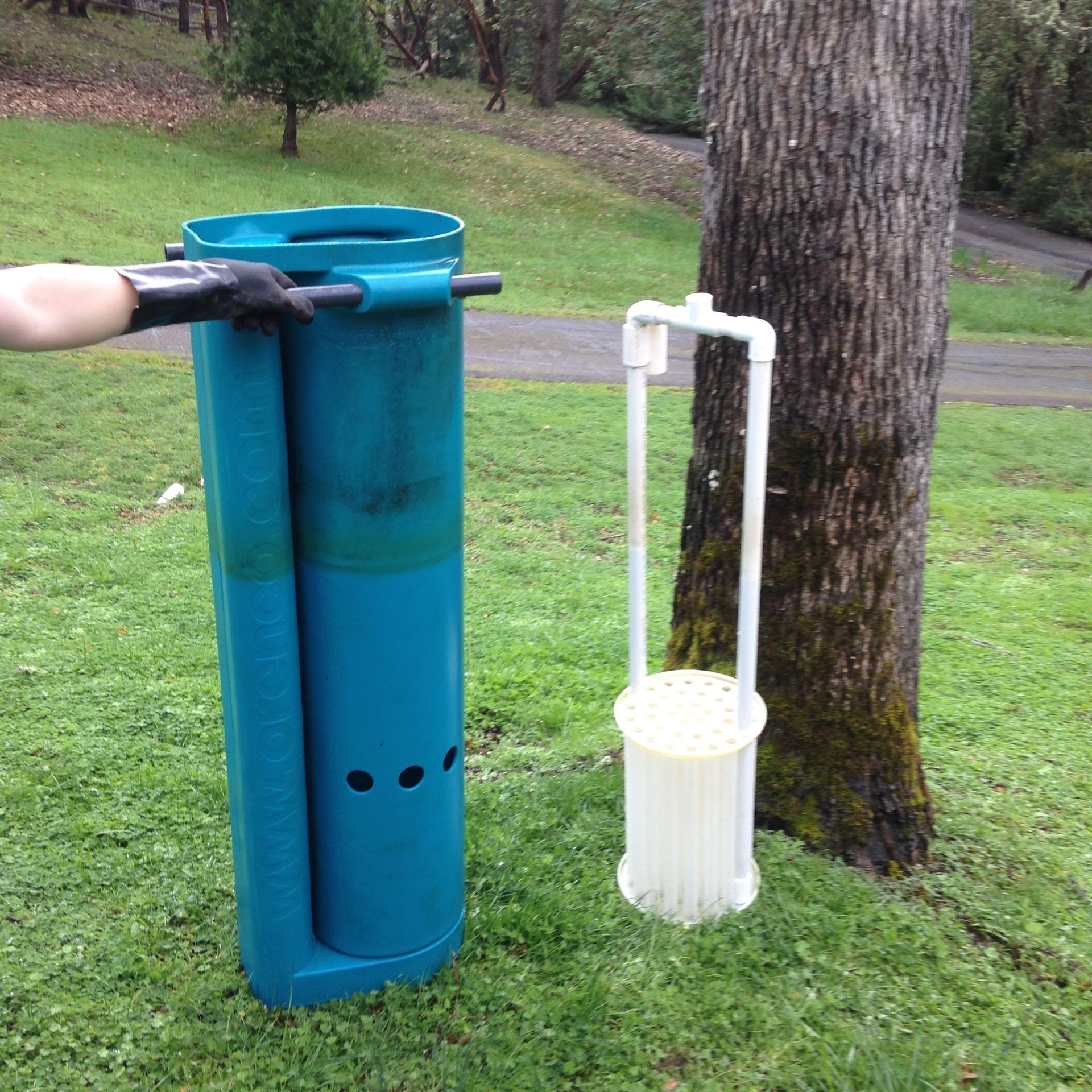 Person holding a teal trash can and a white tree watering device outdoors near a tree on grass.