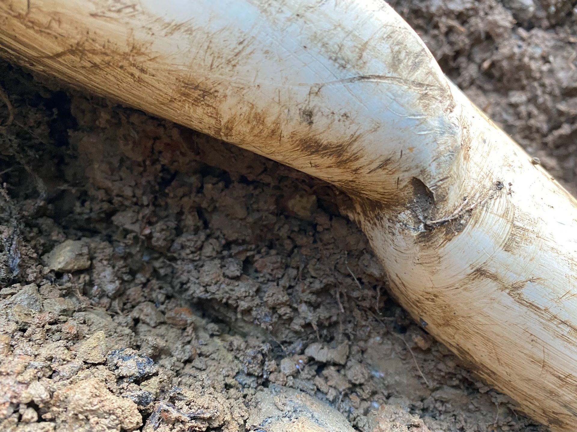 White PVC pipe elbow section buried in dirt.