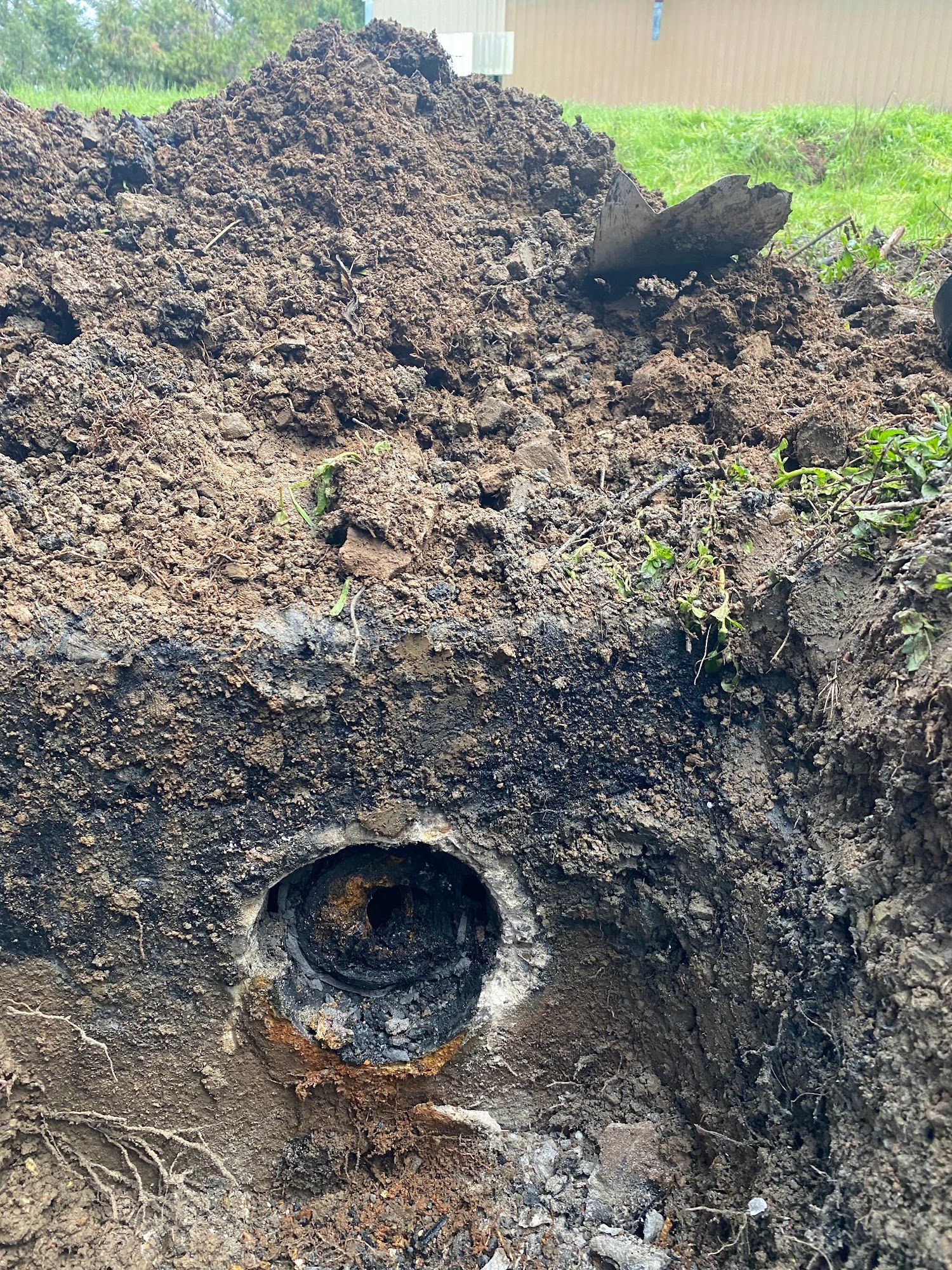 Lime green and dark purple Dodge Charger in a garage.