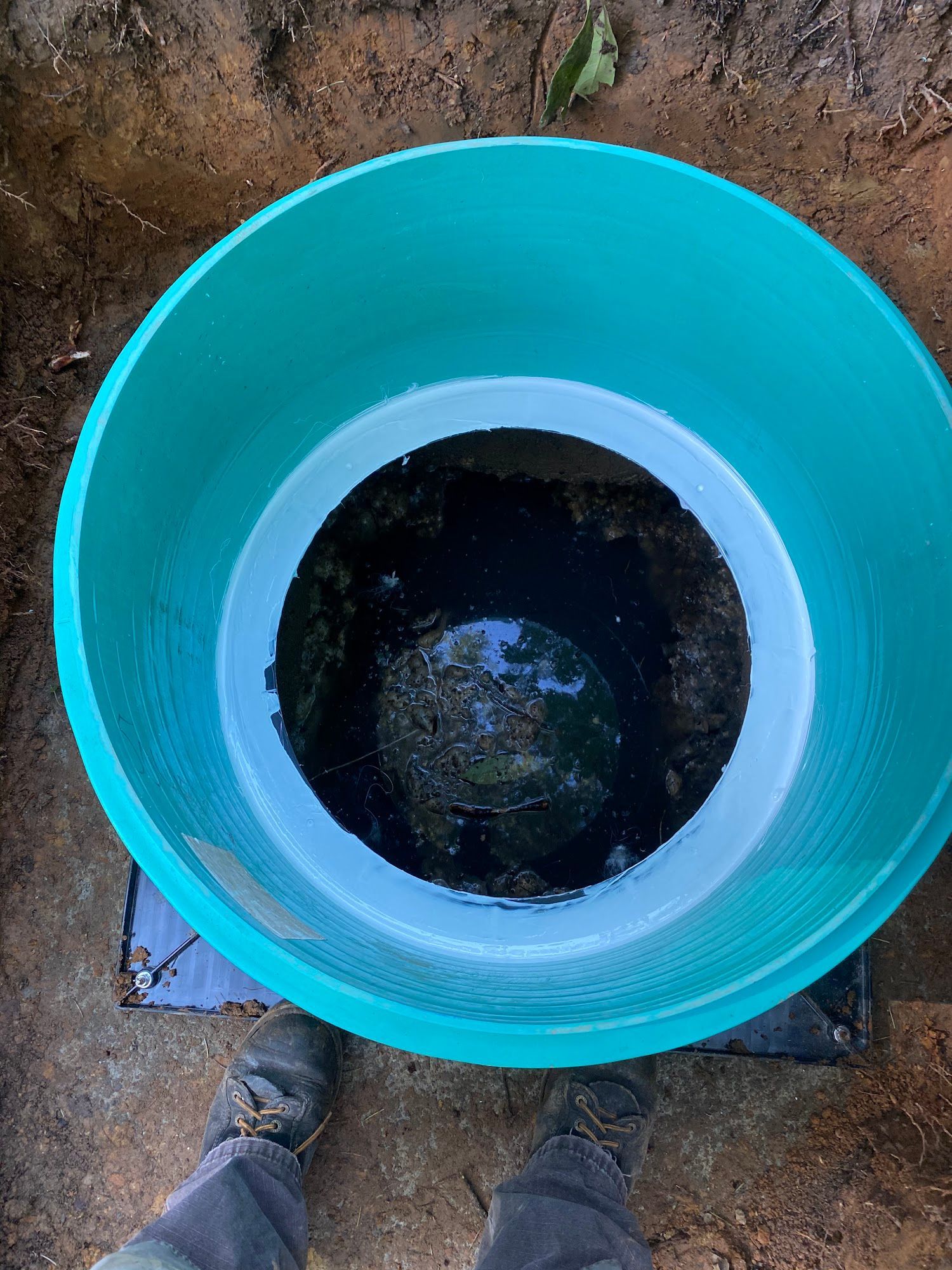 Open septic tank with dark water and debris, viewed from above. Green plastic rim, dirt surroundings.