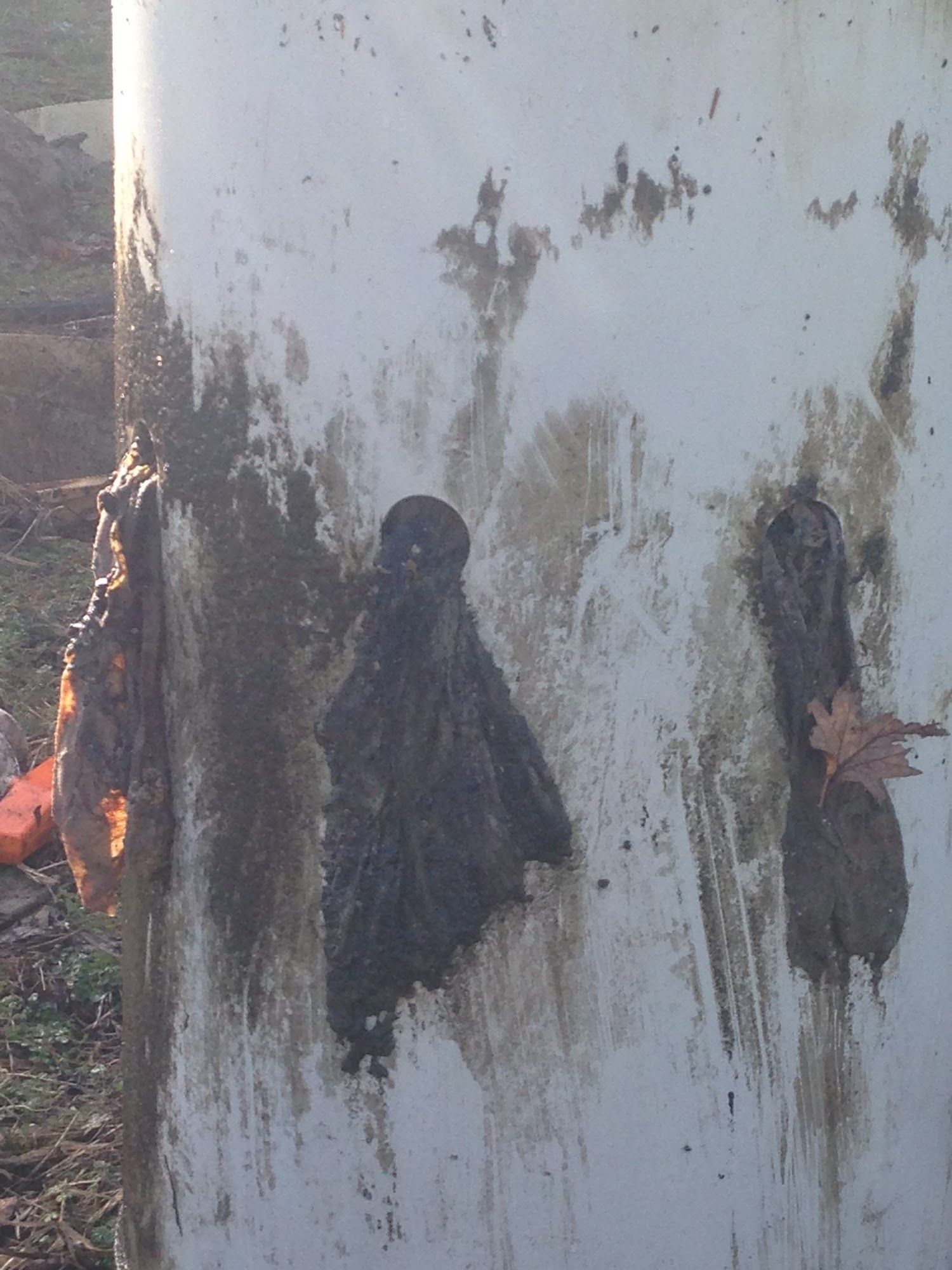 White cylindrical object with dark, viscous residue and a few leaves.