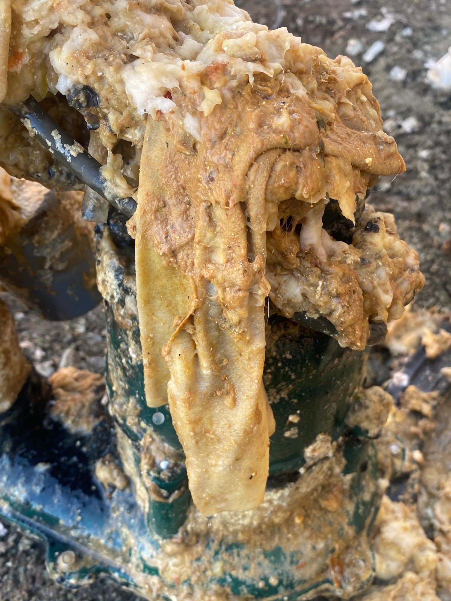 A close-up of a greasy, beige-colored mass clinging to a metal and green object.