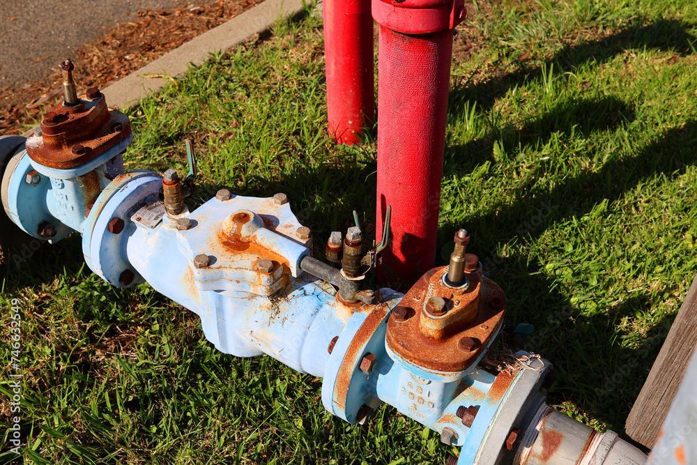 A blue pipe is sitting in the grass next to a red fire hydrant.