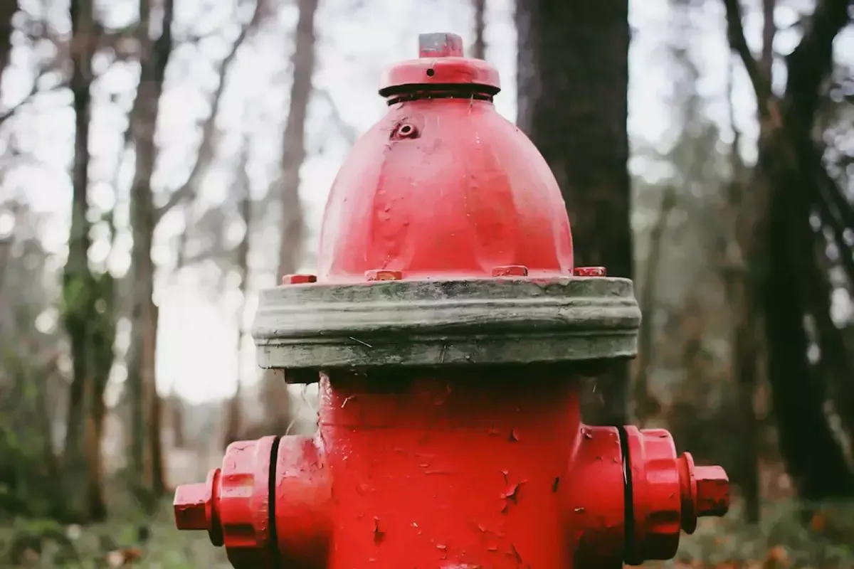 A red fire hydrant is sitting in the middle of a forest.