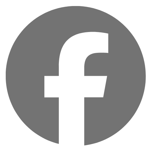 Facebook logo: White 