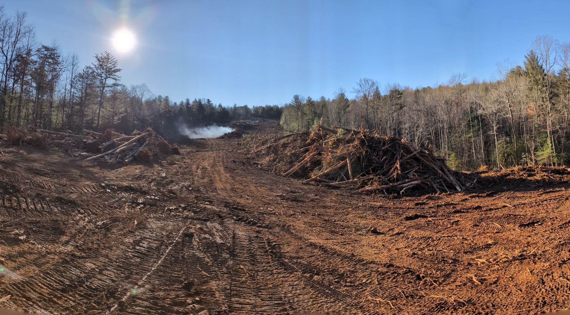 Cleared dirt roadway with brush piles under bright sun in a wooded area