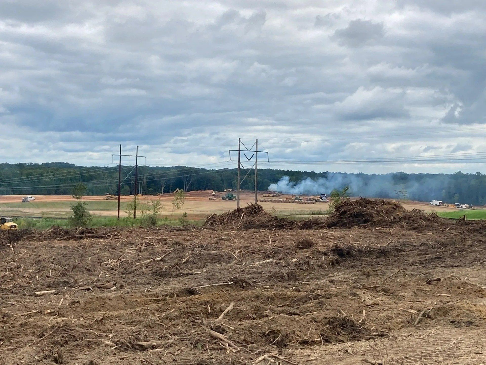Deforestation – Vancleave, MS – Arbor Pro of Mississippi