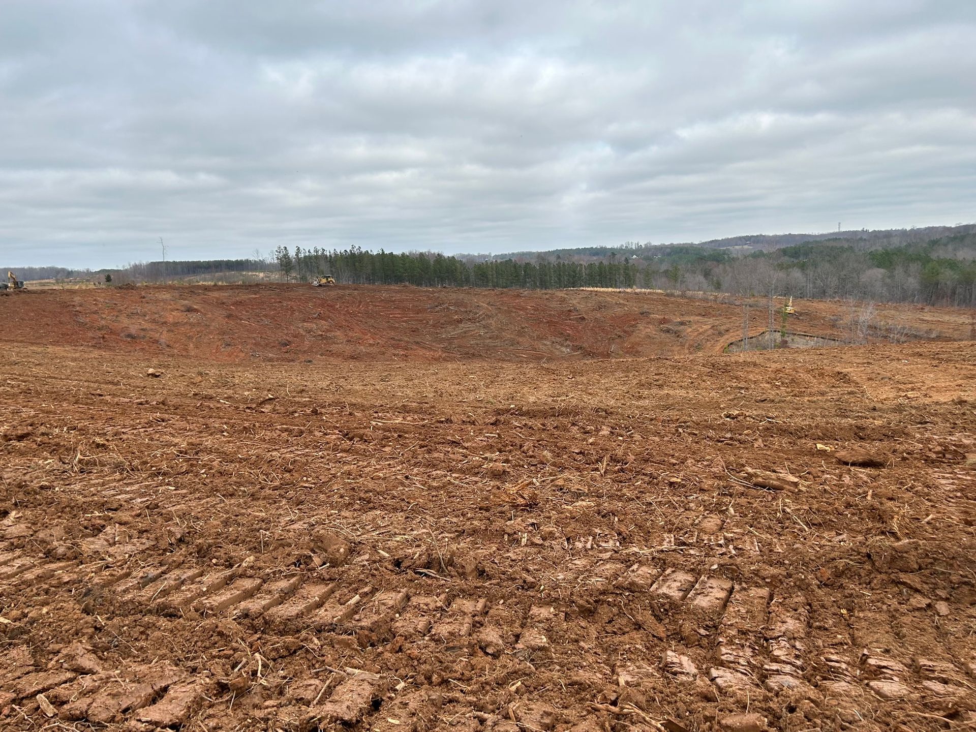Newly Cleared Land — Vancleave, MS — Arbor Pro of Mississippi, Inc