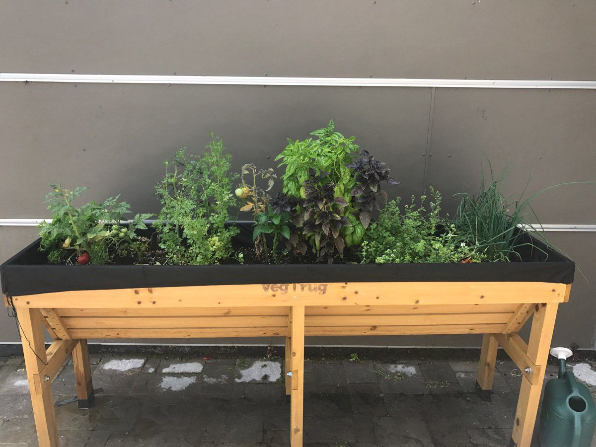 herb garden | Mabbett & Breeds