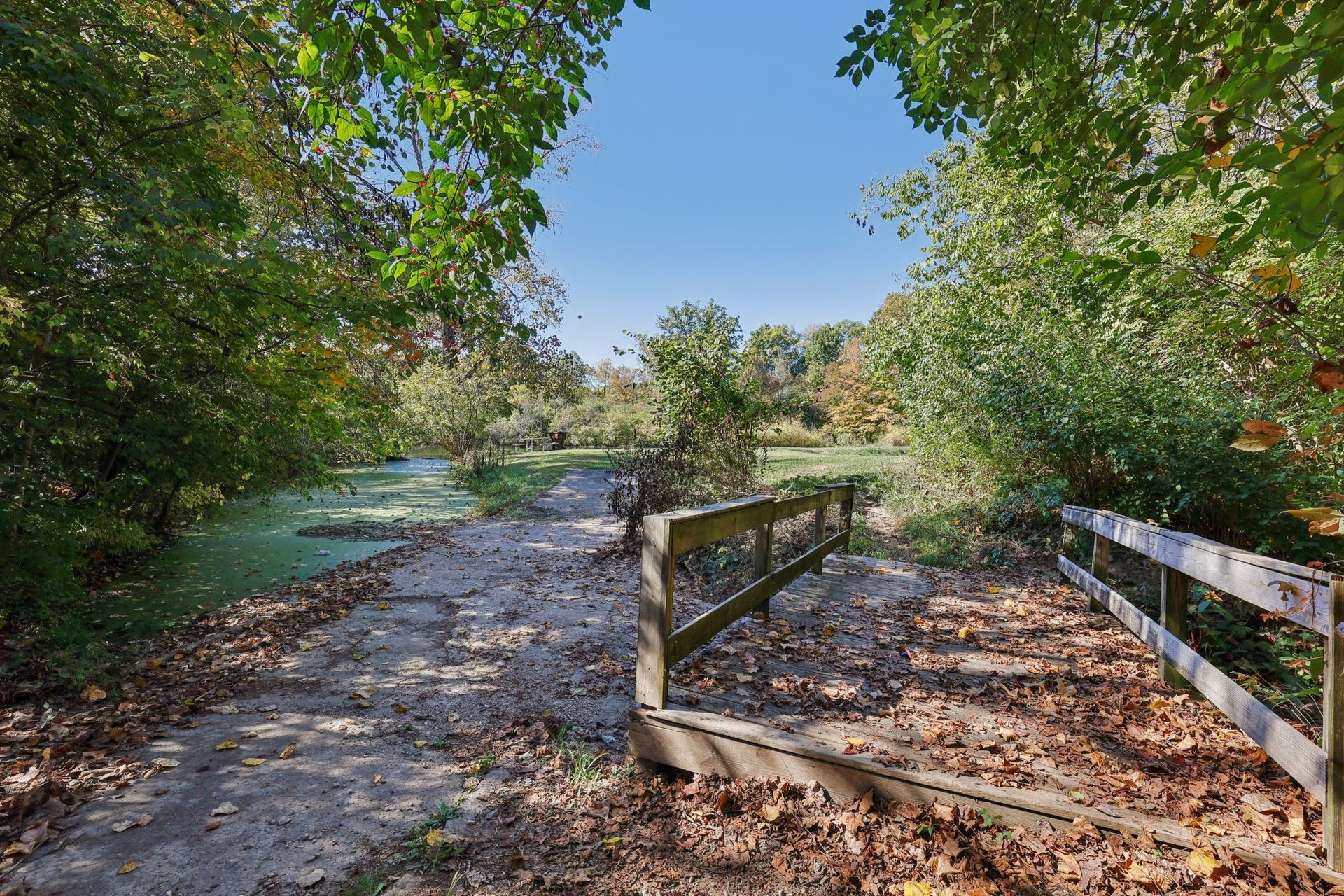 Path with wooden railing leads to a pond surrounded by trees with fall foliage under a blue sky.