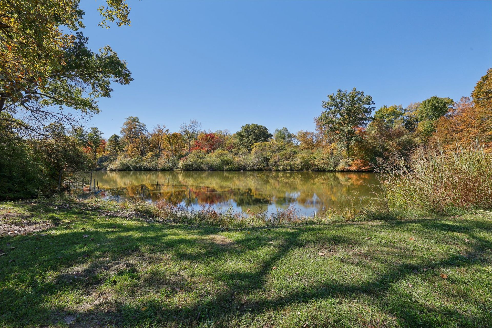Calm lake reflects colorful autumn trees under a bright blue sky. Green grass in foreground.
