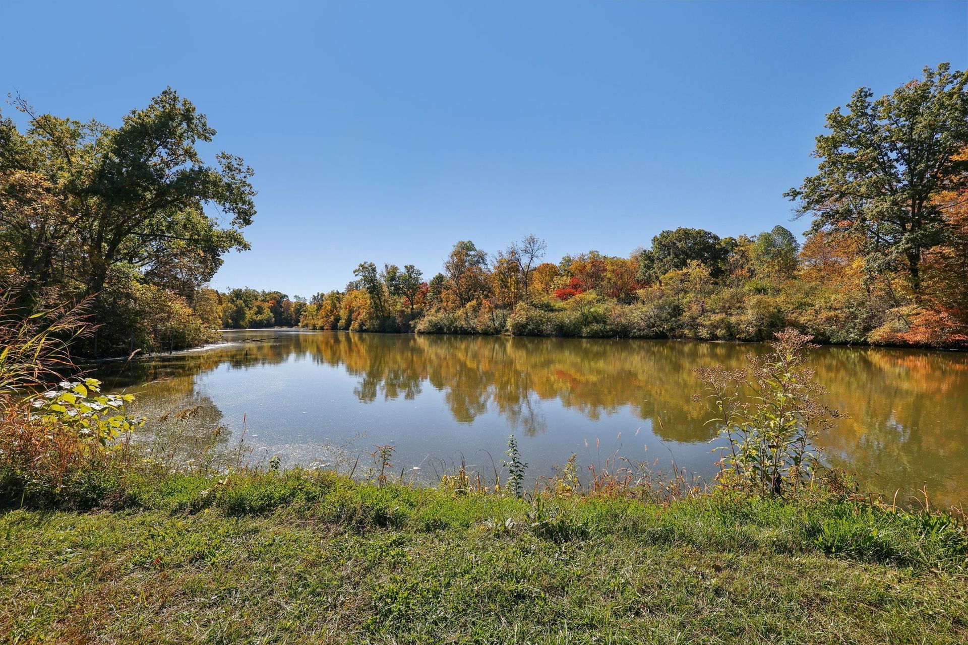 Calm lake reflects colorful autumn trees under a bright blue sky. Green grass in the foreground.