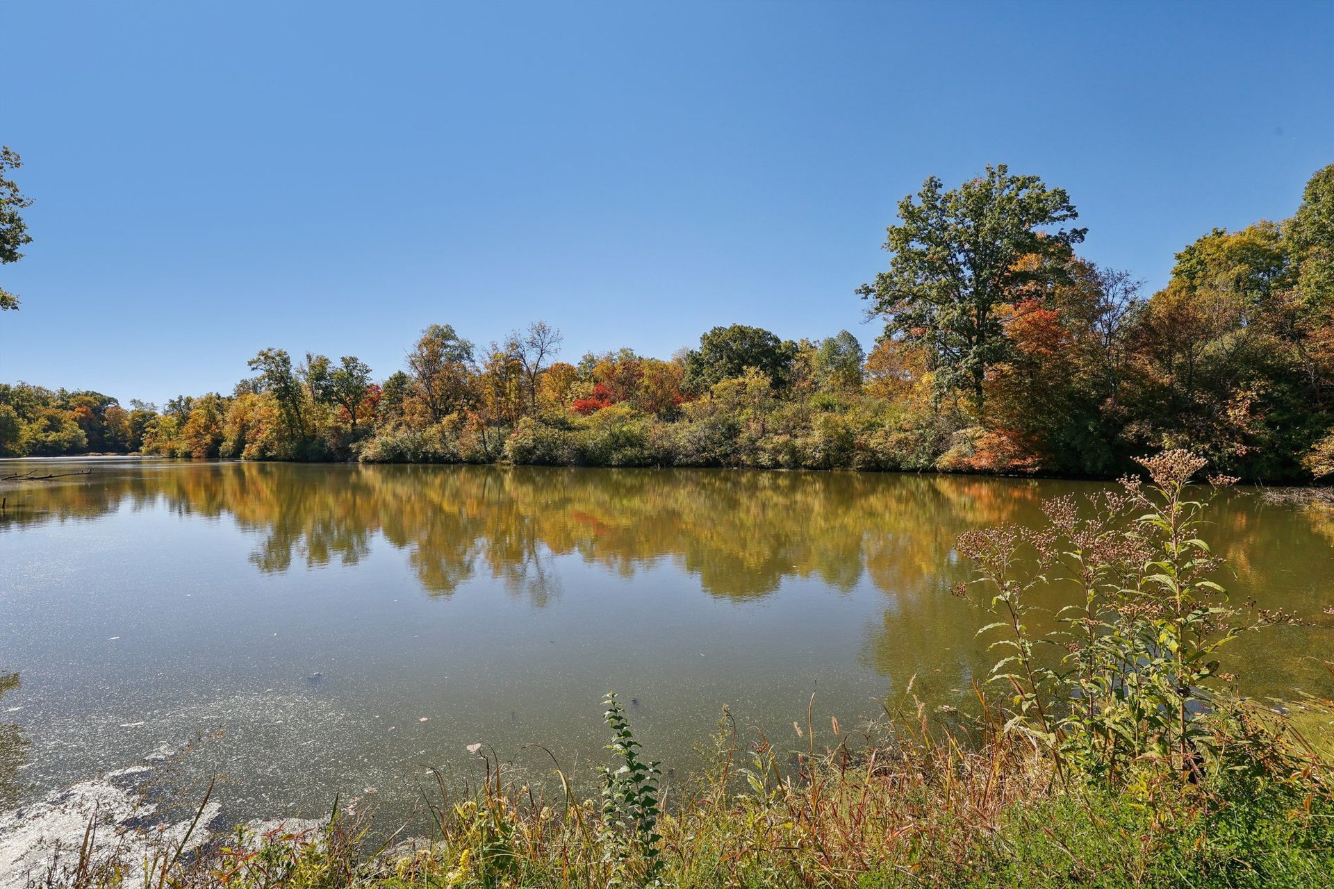 A calm lake reflects trees with autumn foliage under a bright blue sky.