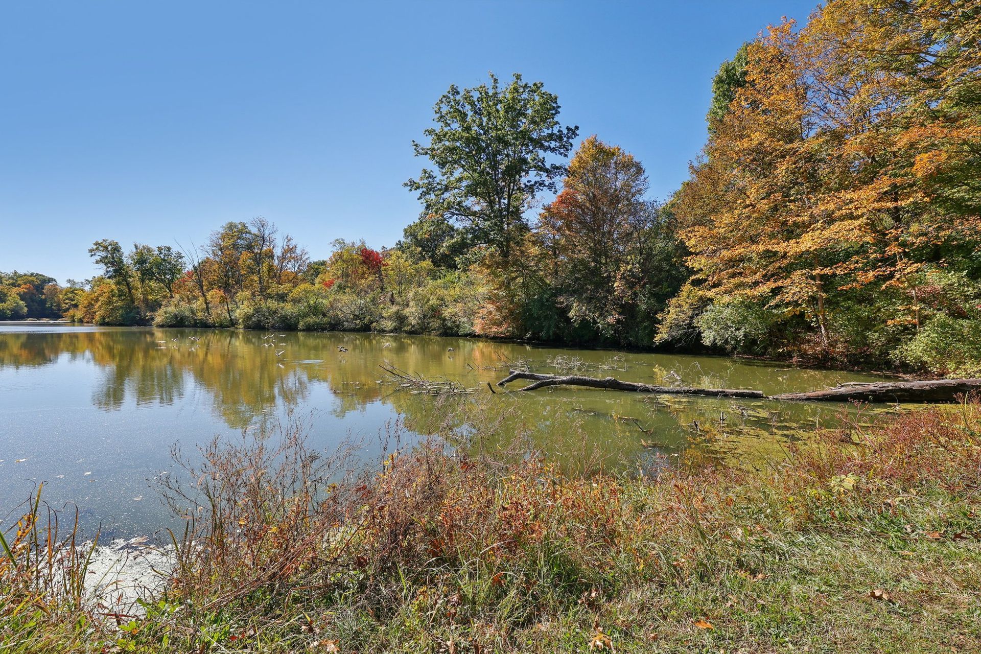 A calm lake reflects autumn trees with orange and yellow leaves under a clear blue sky.