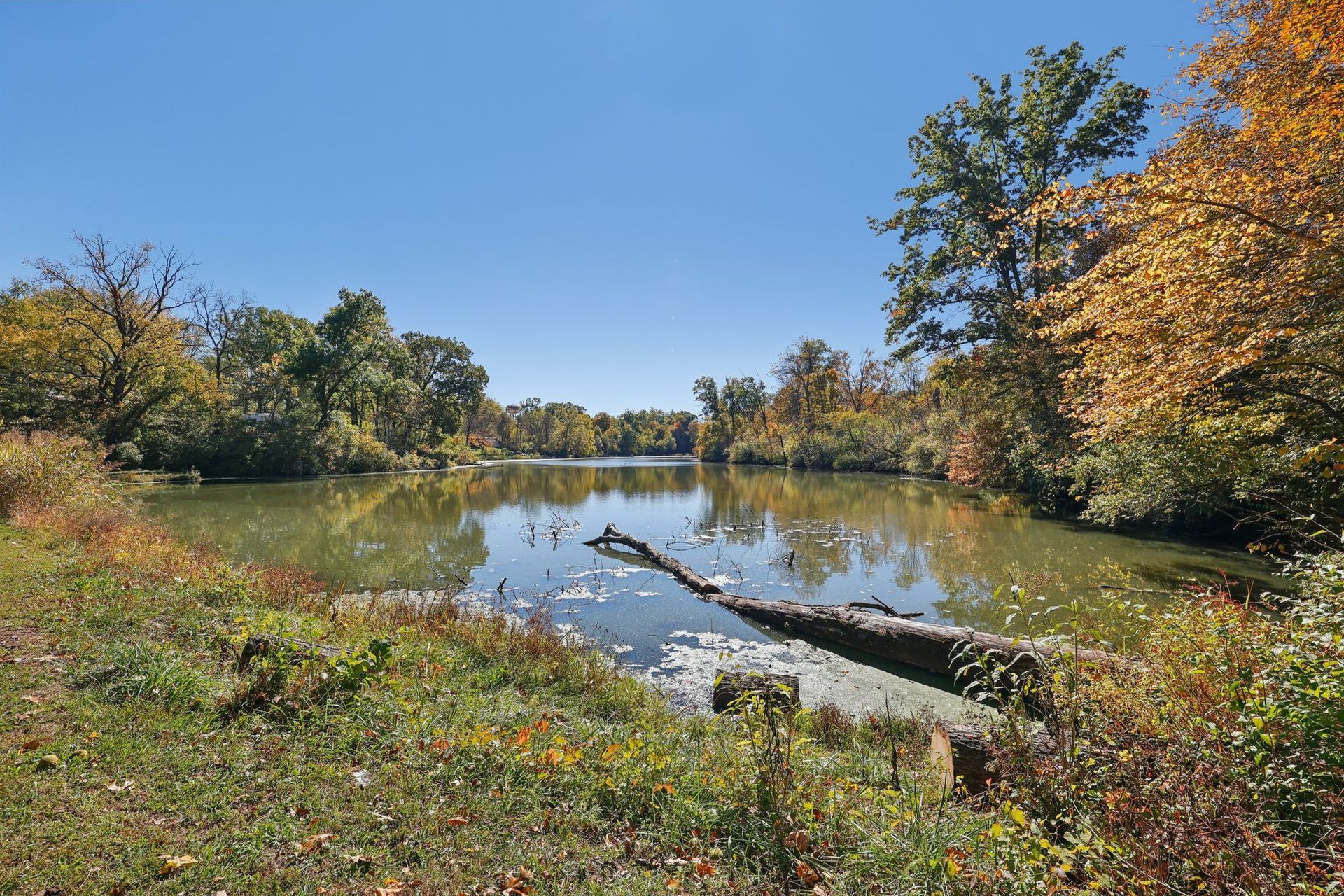 Calm lake surrounded by trees with autumn foliage under a clear, blue sky.