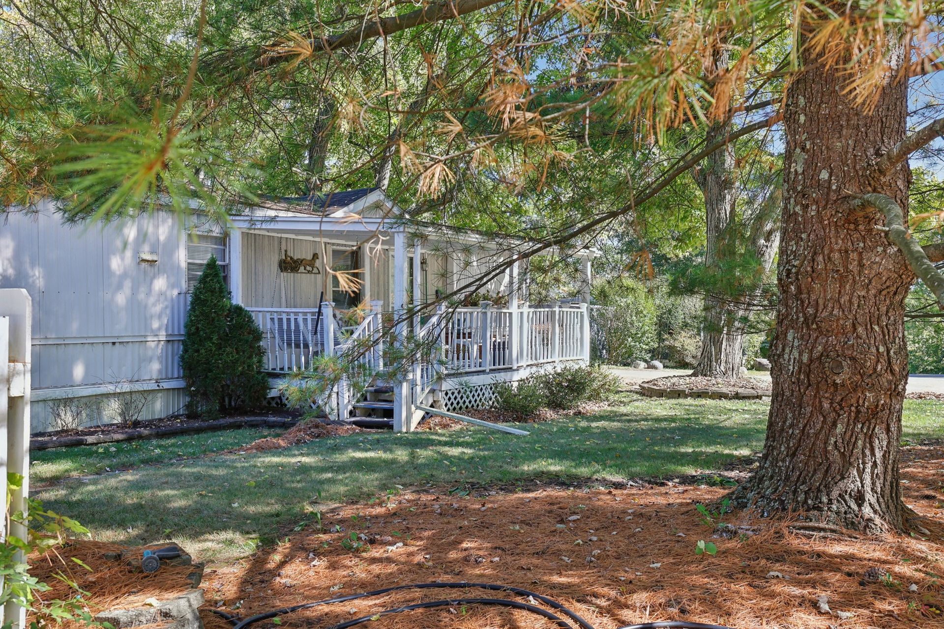 Mobile home with porch, trees, and lawn. Light-colored siding and porch, green grass, and brown tree trunk.
