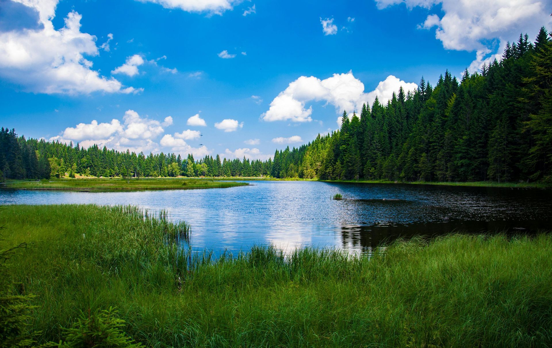 Lake surrounded by green grass and trees under a bright blue sky with puffy white clouds.