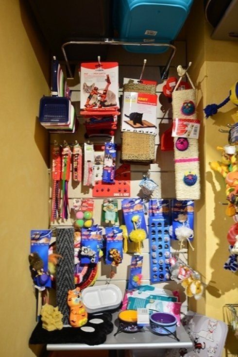 vendita accessori per animali