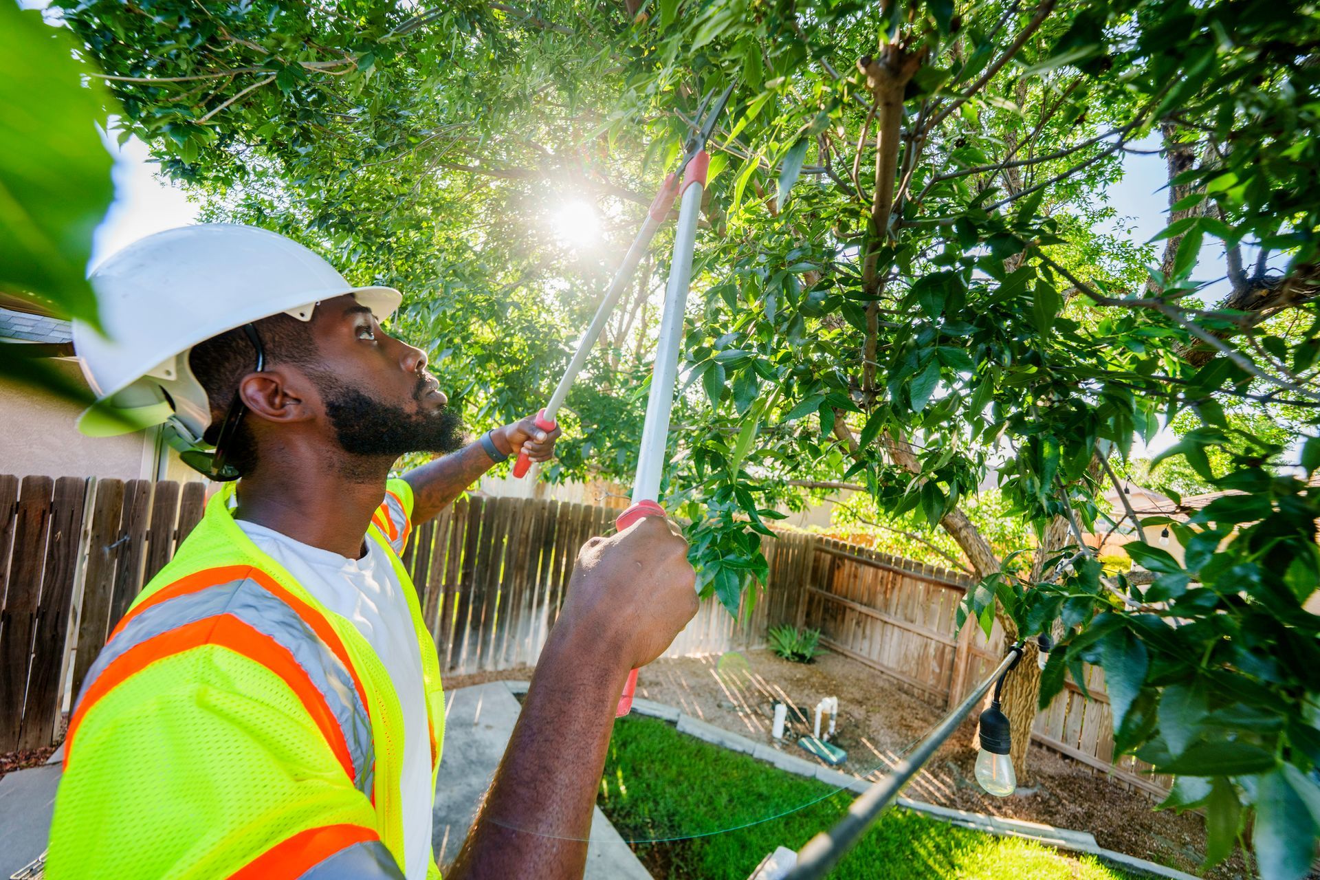 A man wearing a hardhat and safety gear trims a tree in a backyard. A man wearing a hardhat and safety gear trims a tree in a backyard.