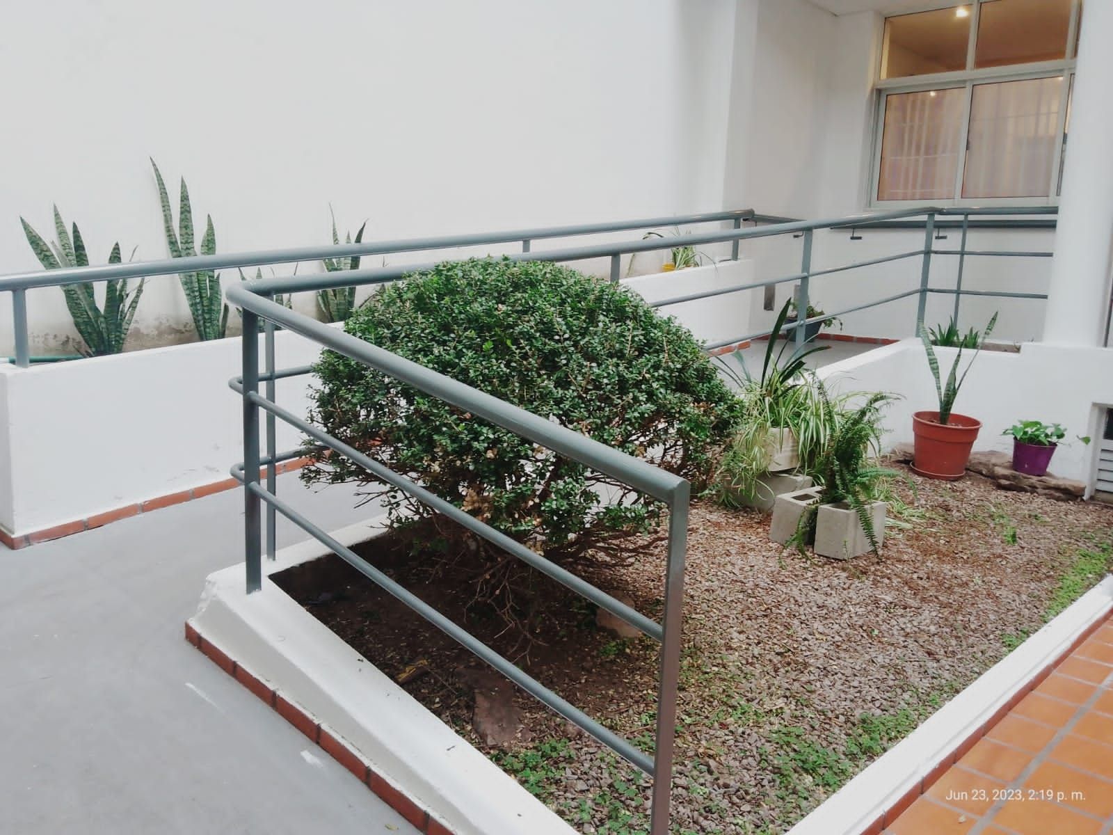 Complejo del este SRL