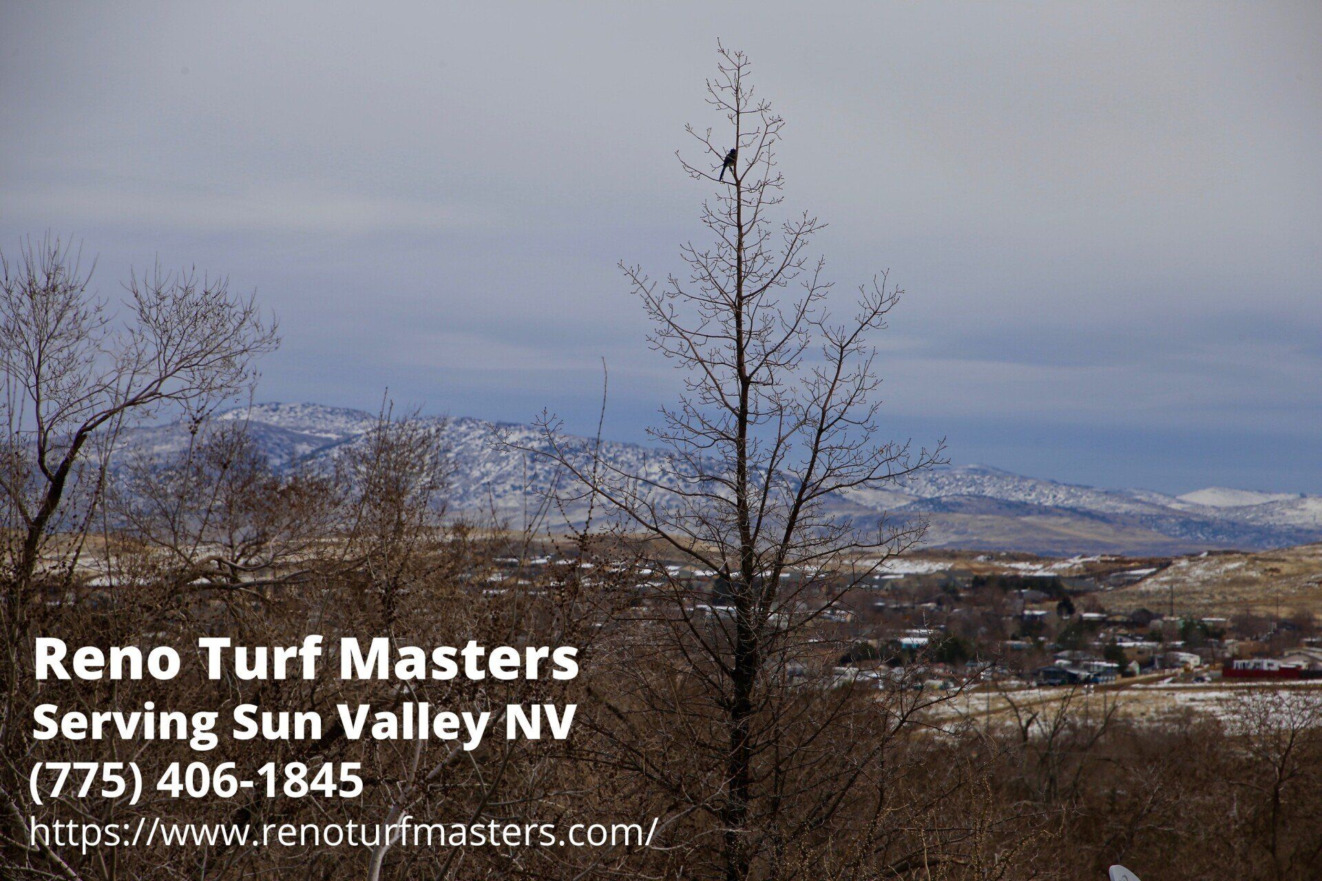 landscape of Sun Valley NV with the contact info of Reno Turf Masters