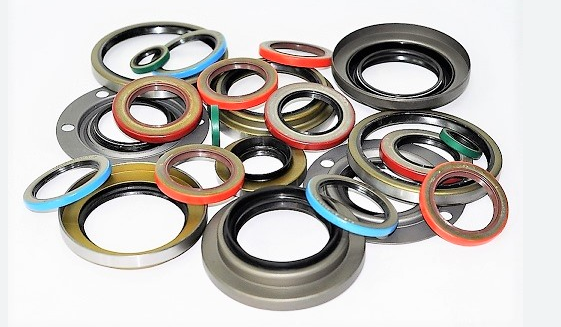 Assorted rubber seals with varying colored edges, arranged against a white background.— Mid Coast Bearing Centre in Forster, NSW