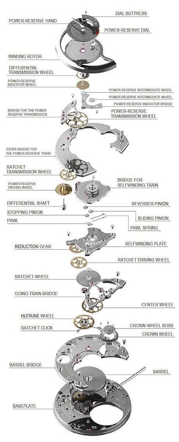 The inside of a watch is shown in a diagram.