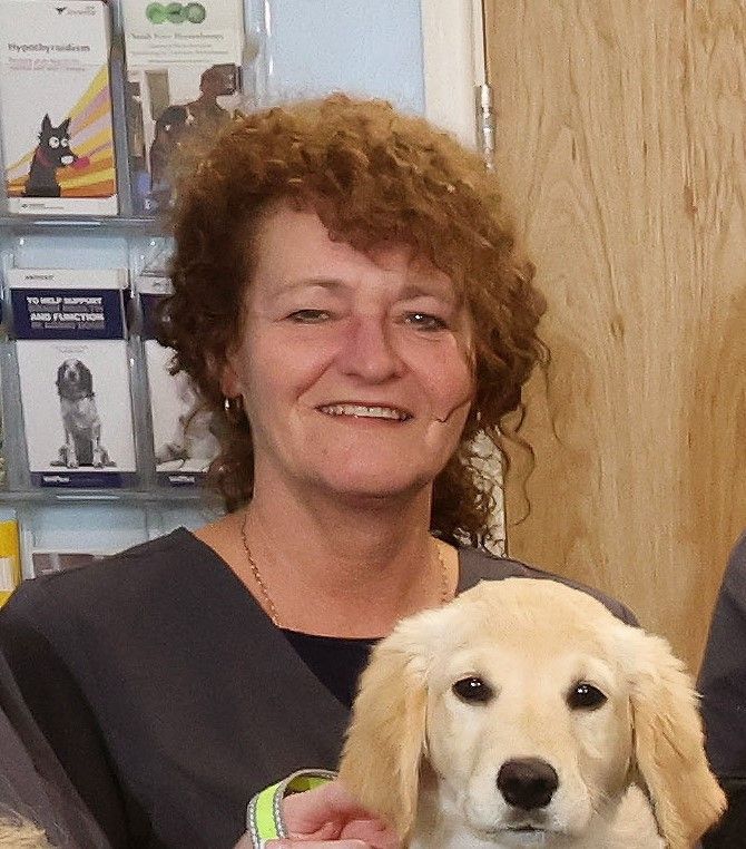 Mandy Prangely | Vet Support Staff