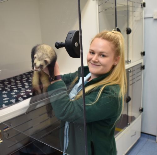 Staff | Archway Veterinary Centre Chepstow