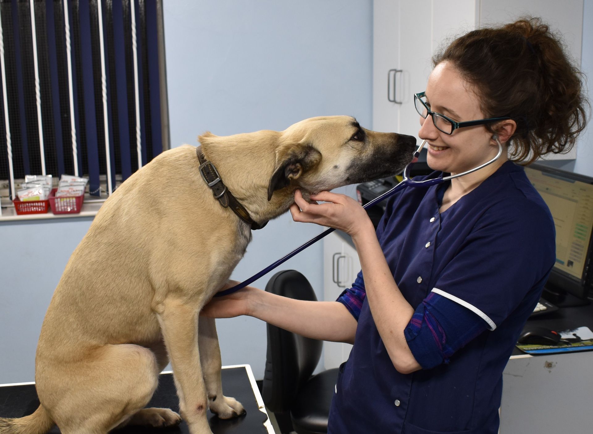 Staff | Archway Veterinary Centre Chepstow