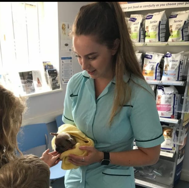 Premier Care Plan | Archway Veterinary Centre Chepstow