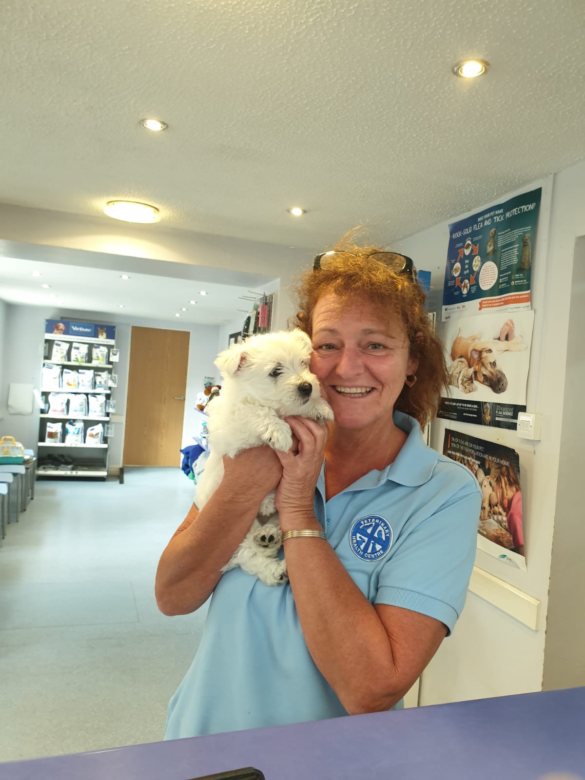 Archway Veterinary Centre Chepstow | Vaccinations