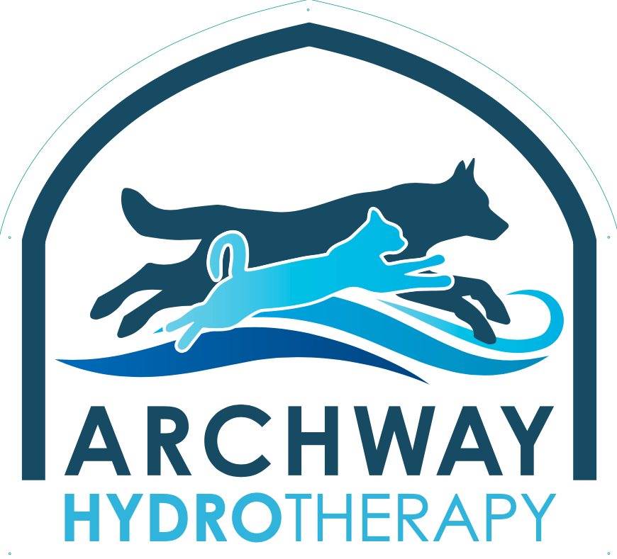 Archway Veterinary Centre Chepstow | Hydrotherapy