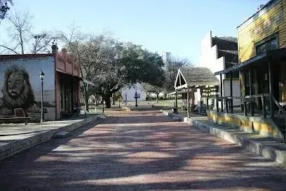Burleson Electrician -A quiet, empty street in a vintage town with a mural of a lion on one building. Sunlight and shadows create a calm, nostalgic atmosphere.