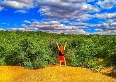 Burleson Electrician - A person stands on a sandy hill with arms raised, overlooking a lush green forest. Fluffy clouds dot the vibrant blue sky, conveying a sense of freedom and joy.