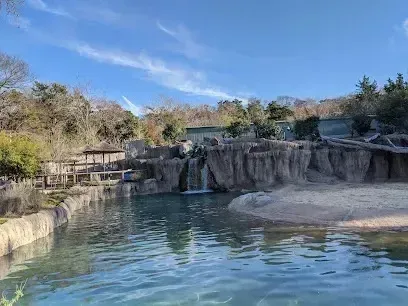 Burleson Electrician -A serene zoo habitat featuring a clear blue pond with a small waterfall, surrounded by rock formations and lush greenery under a bright blue sky..