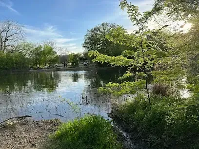 Burleson Electrician - A serene lake scene with lush greenery, vibrant spring trees, and calm water reflecting the blue sky. Sunlight filters through branches, creating a peaceful atmosphere.