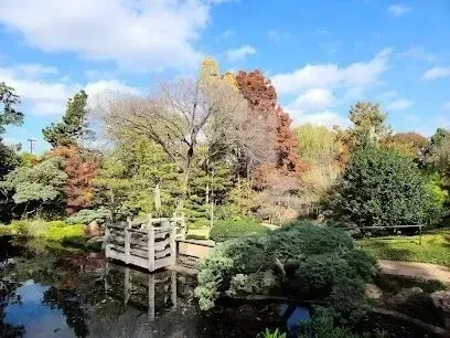 Burleson Electrician - A serene garden scene with a wooden bridge over a calm pond, surrounded by colorful autumn trees under a bright blue sky with fluffy clouds.