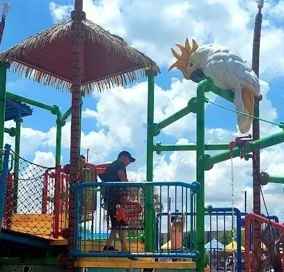 Burleson Electrician - A person stands on a colorful water play structure under a partly cloudy sky. A large white bird sculpture adorns the structure, adding a playful vibe.