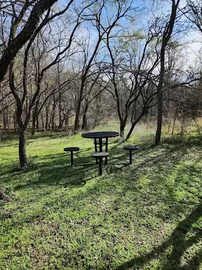 Burleson Electrician -A round black picnic table with attached seats is set on lush green grass, surrounded by leafless trees under a clear blue sky.