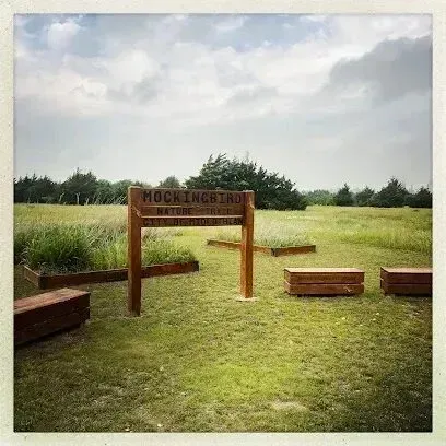 Burleson Electrician - A wooden sign reading