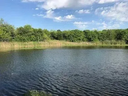 Burleson Electrician - Calm lake surrounded by lush green trees under a clear blue sky with scattered clouds. The scene conveys tranquility and natural beauty.