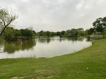 Burleson Electrician - Tranquil pond reflecting a dense tree line under an overcast sky, viewed from a grassy bank.