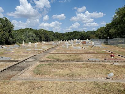 Burleson Electrician -A round black picnic table with attached seats is set on lush green grass, surrounded by leafless trees under a clear blue sky.
