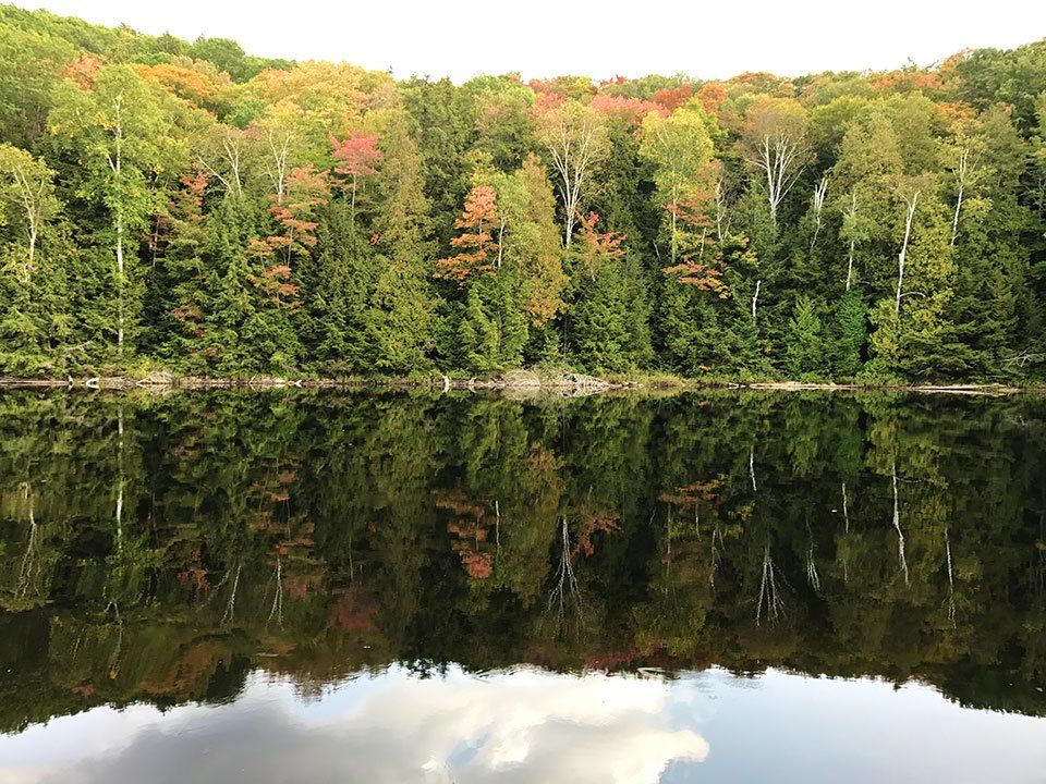 View of Harvey Lake in Fall