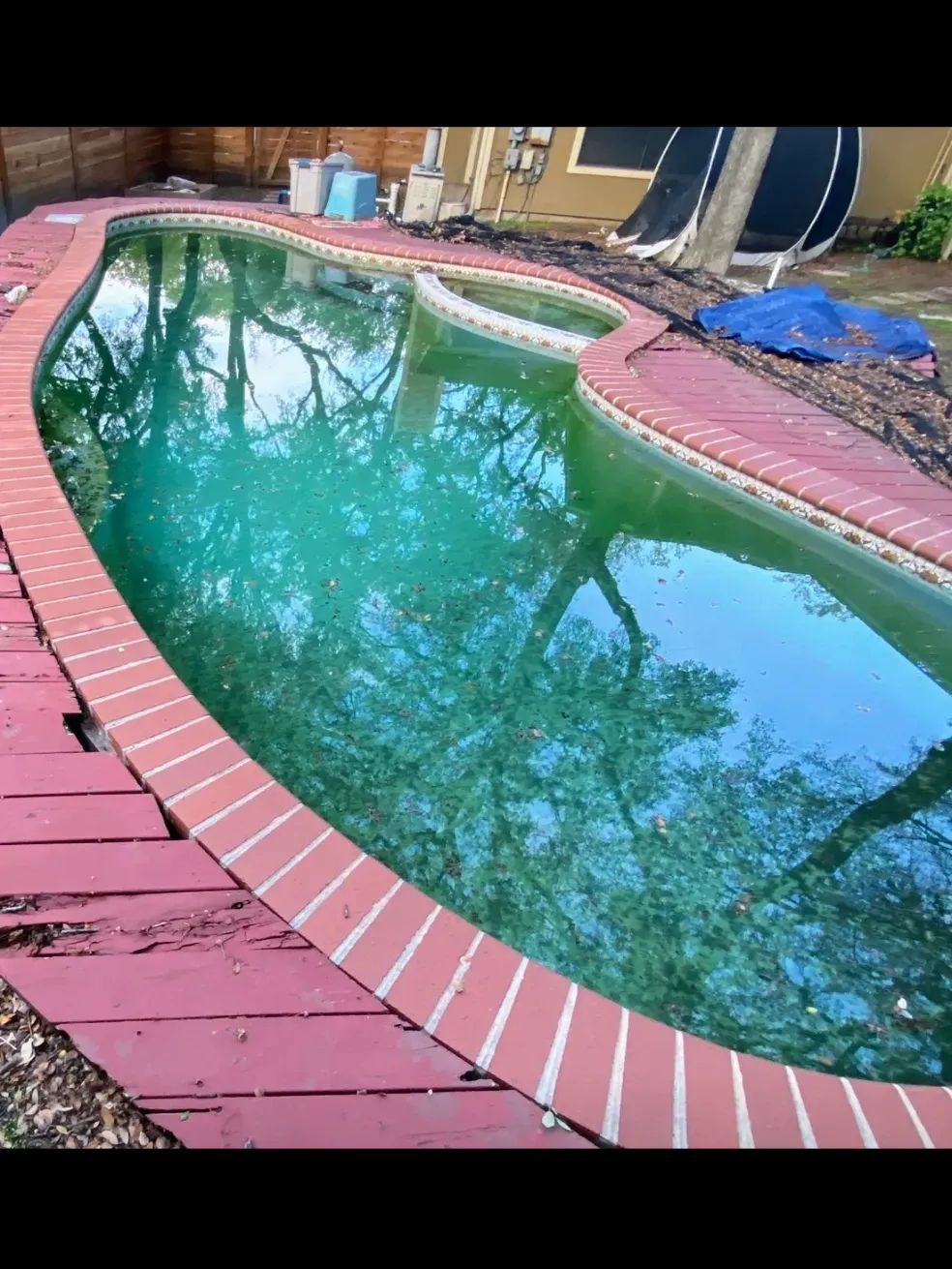 Green algae-filled pool with a brick border and red wooden deck, trees reflecting on the water.