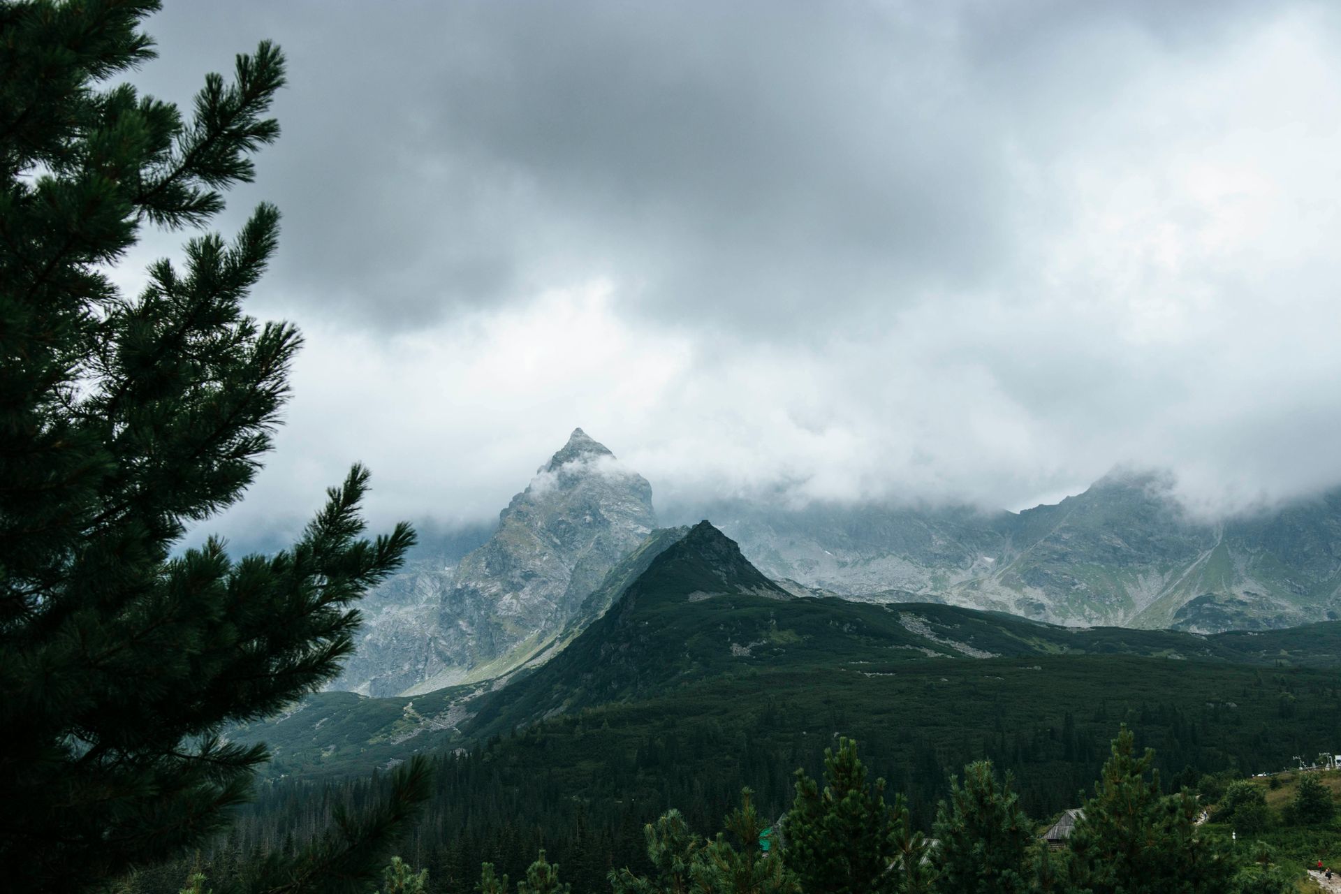 A mountain covered in clouds with trees in the foreground